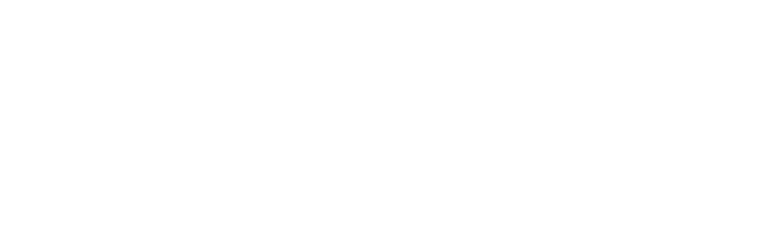 Orange Blue Minimalist Fly Trip Logo